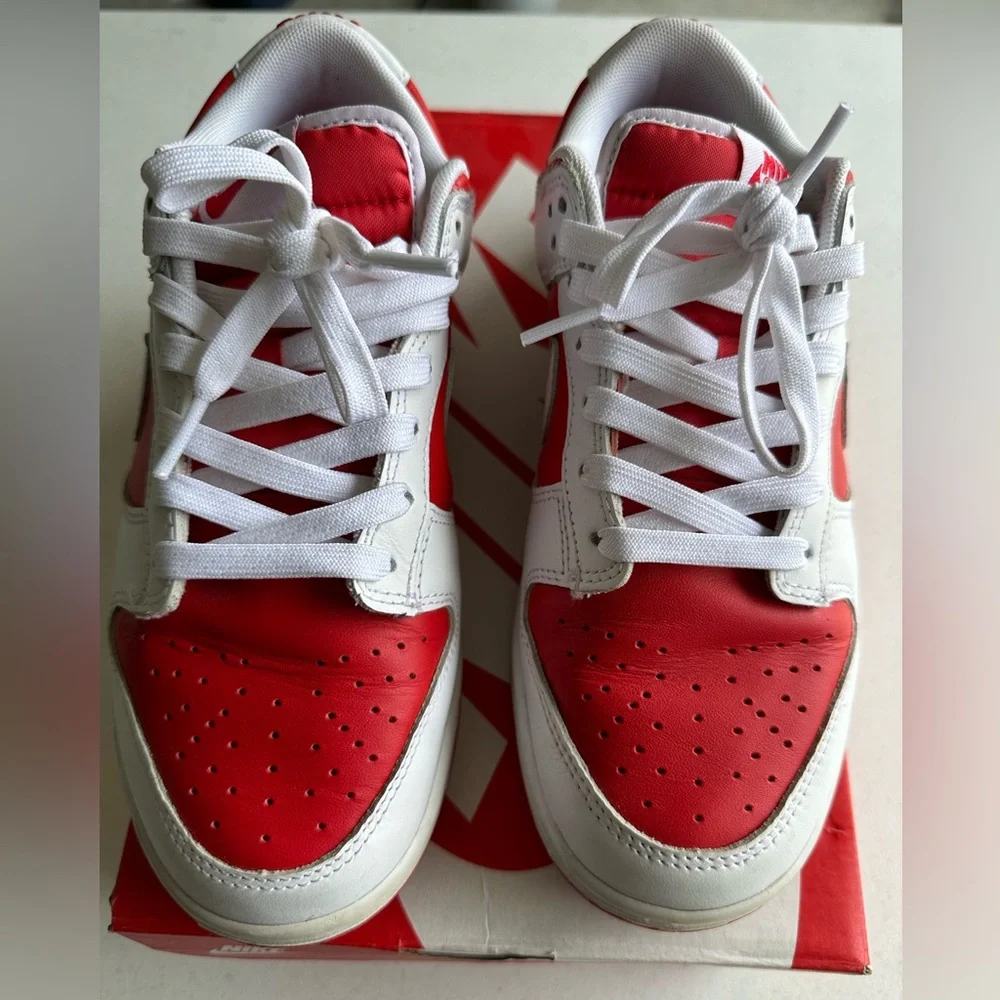 Nike Dunk Low Retro